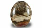 Free-Standing, Polished Petrified Wood - Madagascar #256725-1